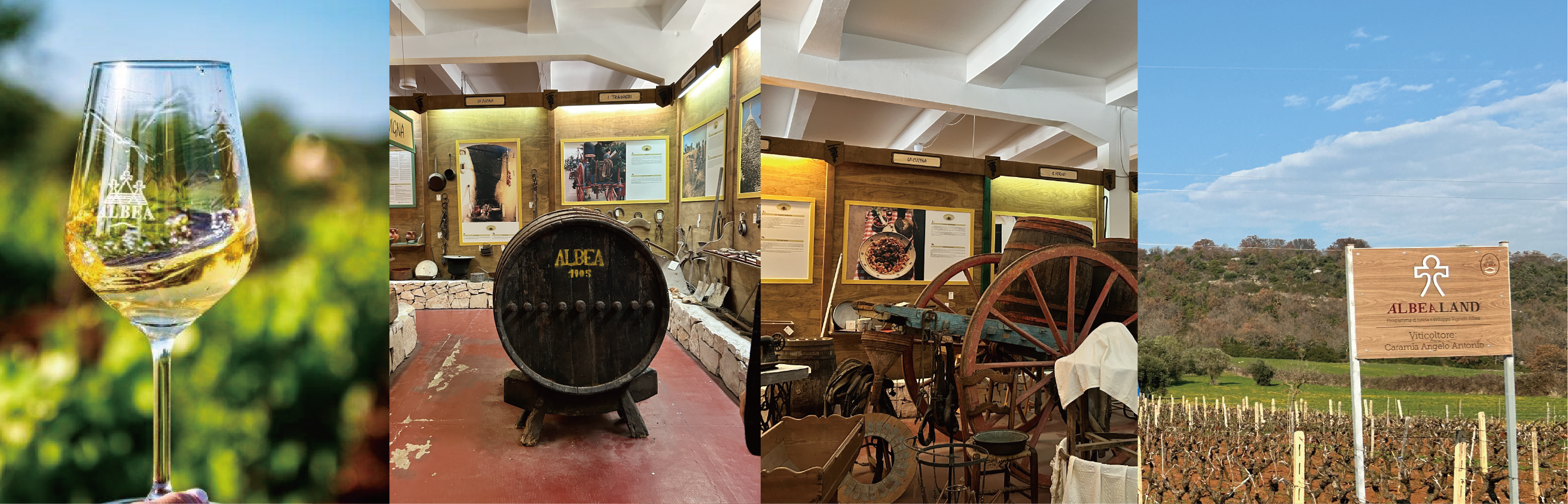 Italy Cantina Museo Albea